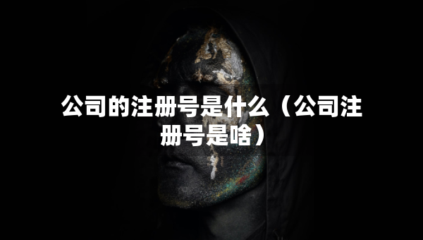 公司的注冊號是什么（公司注冊號是啥）