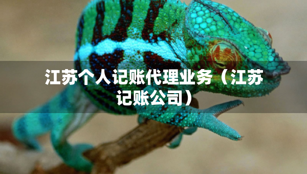 江蘇個人記賬代理業(yè)務(wù)（江蘇記賬公司）