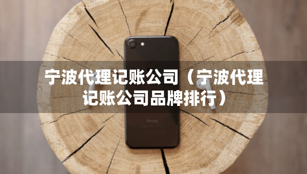 寧波代理記賬公司（寧波代理記賬公司品牌排行）