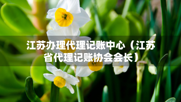 江蘇辦理代理記賬中心（江蘇省代理記賬協(xié)會會長）