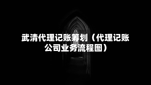 武清代理記賬籌劃（代理記賬公司業(yè)務(wù)流程圖）