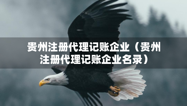貴州注冊(cè)代理記賬企業(yè)（貴州注冊(cè)代理記賬企業(yè)名錄）