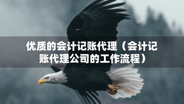 優(yōu)質的會計記賬代理（會計記賬代理公司的工作流程）