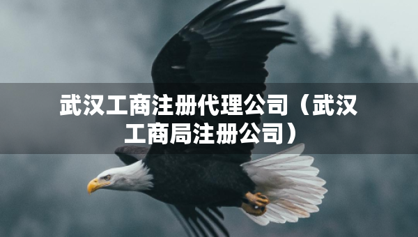 武漢工商注冊(cè)代理公司（武漢工商局注冊(cè)公司）