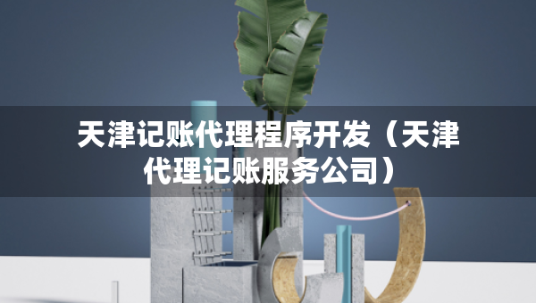 天津記賬代理程序開發(fā)（天津代理記賬服務(wù)公司）