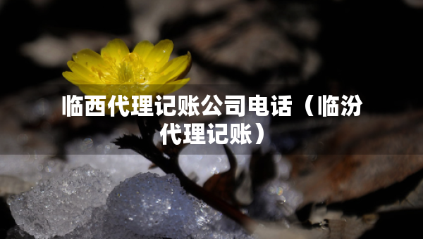 臨西代理記賬公司電話（臨汾代理記賬）