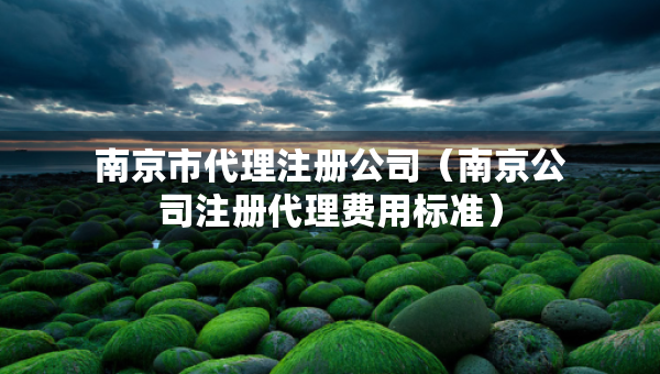 南京市代理注冊公司（南京公司注冊代理費(fèi)用標(biāo)準(zhǔn)）
