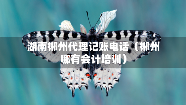 湖南郴州代理記賬電話（郴州哪有會計培訓(xùn)）