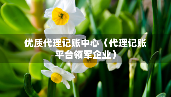 優(yōu)質(zhì)代理記賬中心（代理記賬平臺(tái)領(lǐng)軍企業(yè)）