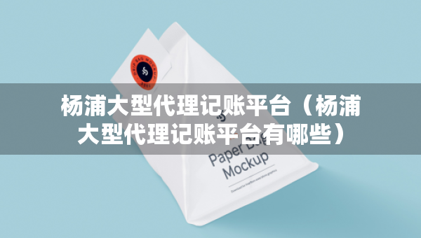 楊浦大型代理記賬平臺(tái)（楊浦大型代理記賬平臺(tái)有哪些）