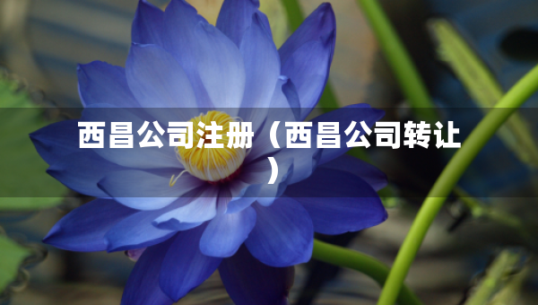 西昌公司注冊(cè)（西昌公司轉(zhuǎn)讓）