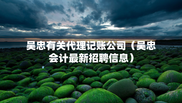 吳忠有關代理記賬公司（吳忠會計最新招聘信息）