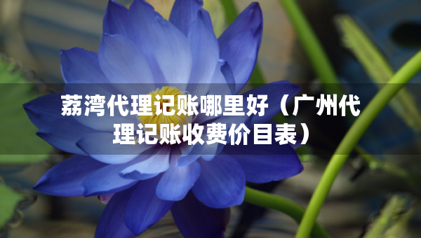 荔灣代理記賬哪里好（廣州代理記賬收費價目表）