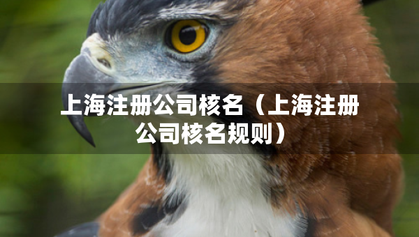 上海注冊(cè)公司核名（上海注冊(cè)公司核名規(guī)則）