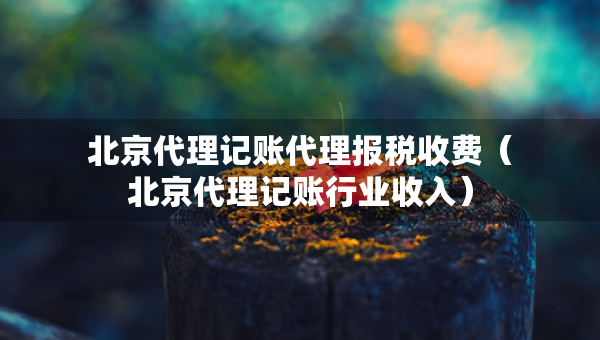 北京代理記賬代理報稅收費（北京代理記賬行業(yè)收入）