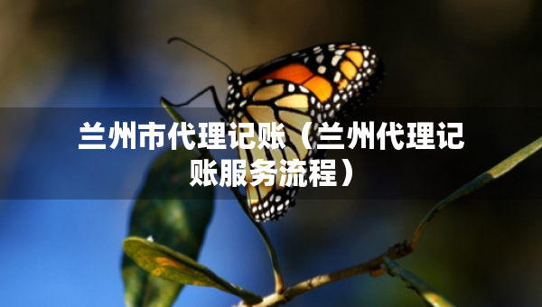 蘭州市代理記賬（蘭州代理記賬服務(wù)流程）