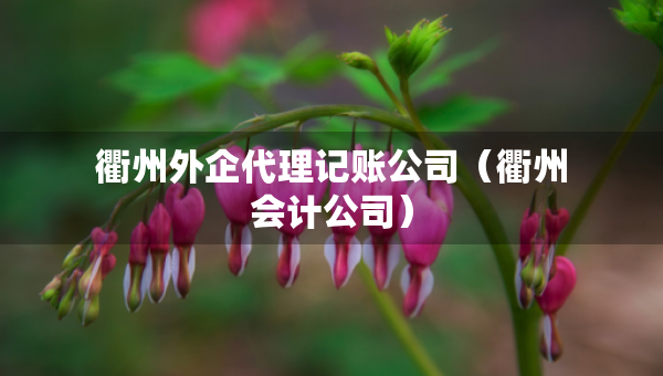 衢州外企代理記賬公司（衢州會(huì)計(jì)公司）
