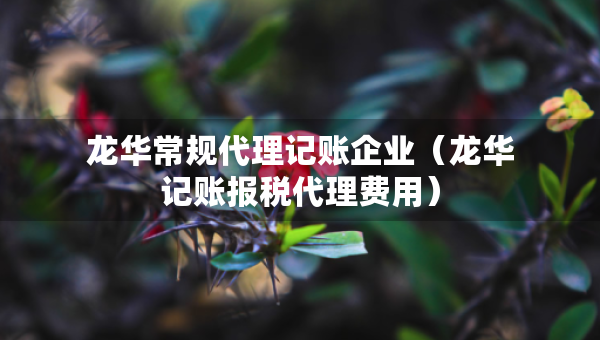 龍華常規(guī)代理記賬企業(yè)（龍華記賬報稅代理費用）