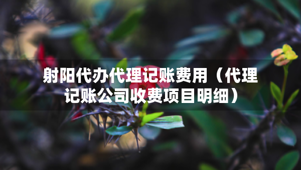 射陽代辦代理記賬費(fèi)用（代理記賬公司收費(fèi)項(xiàng)目明細(xì)）
