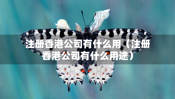 注冊(cè)香港公司有什么用（注冊(cè)香港公司有什么用途）