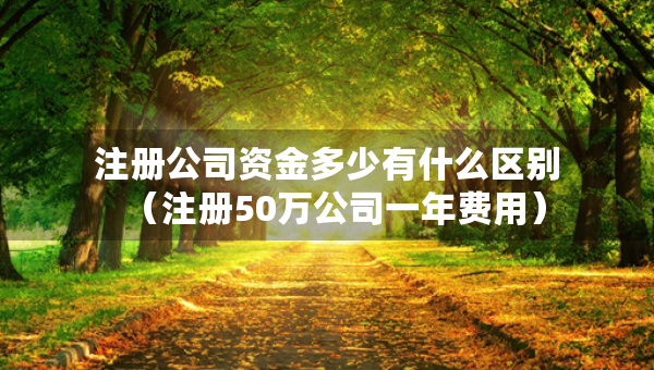 注冊(cè)公司資金多少有什么區(qū)別（注冊(cè)50萬(wàn)公司一年費(fèi)用）