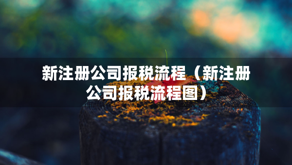 新注冊公司報稅流程（新注冊公司報稅流程圖）