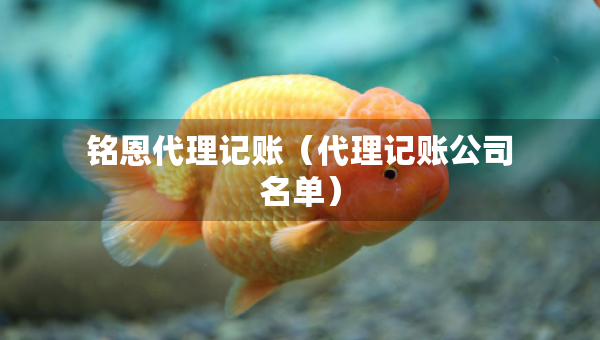 銘恩代理記賬（代理記賬公司名單）