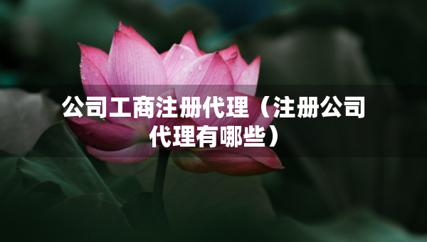公司工商注冊代理（注冊公司代理有哪些）