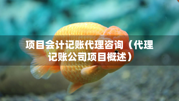 項(xiàng)目會(huì)計(jì)記賬代理咨詢（代理記賬公司項(xiàng)目概述）