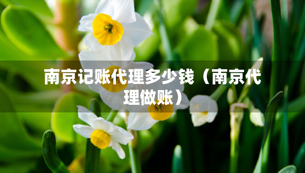 南京記賬代理多少錢（南京代理做賬）