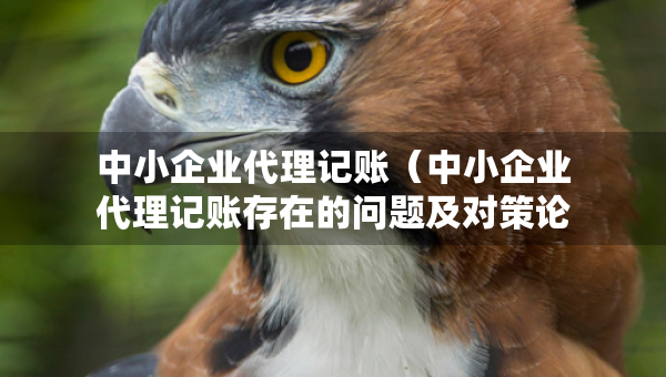 中小企業(yè)代理記賬（中小企業(yè)代理記賬存在的問題及對策論文）