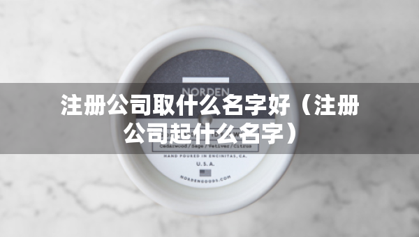 注冊公司取什么名字好（注冊公司起什么名字）
