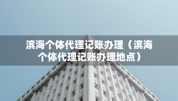 濱海個(gè)體代理記賬辦理（濱海個(gè)體代理記賬辦理地點(diǎn)）