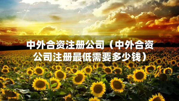 中外合資注冊公司（中外合資公司注冊最低需要多少錢）