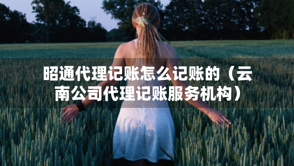 昭通代理記賬怎么記賬的（云南公司代理記賬服務(wù)機(jī)構(gòu)）