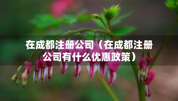 在成都注冊公司（在成都注冊公司有什么優(yōu)惠政策）