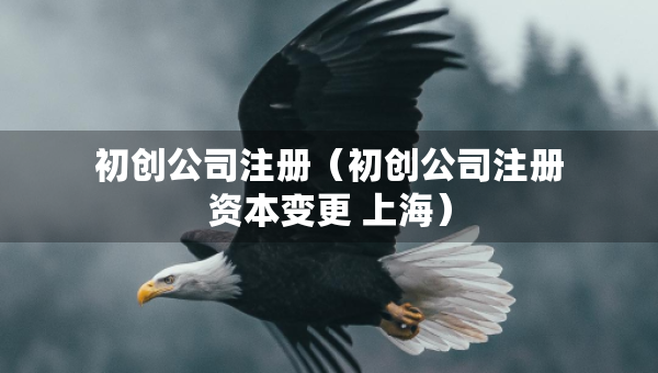 初創(chuàng)公司注冊(cè)（初創(chuàng)公司注冊(cè)資本變更 上海）