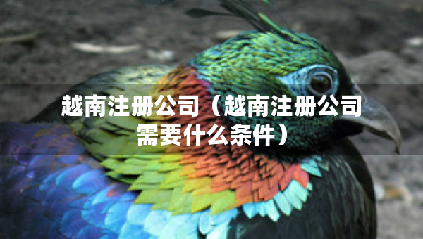 越南注冊公司（越南注冊公司需要什么條件）