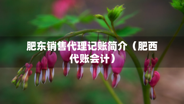 肥東銷售代理記賬簡介（肥西代賬會計）