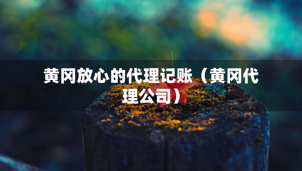 黃岡放心的代理記賬（黃岡代理公司）