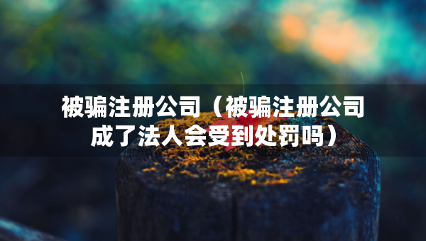 被騙注冊公司（被騙注冊公司成了法人會受到處罰嗎）
