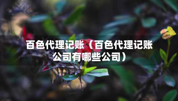 百色代理記賬（百色代理記賬公司有哪些公司）