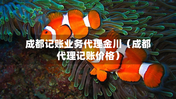 成都記賬業(yè)務(wù)代理金川（成都代理記賬價格）
