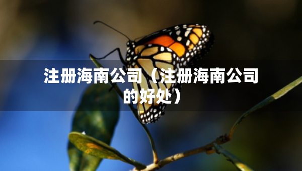 注冊(cè)海南公司（注冊(cè)海南公司的好處）
