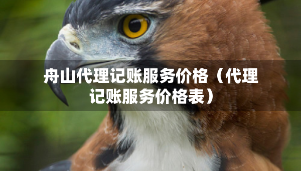舟山代理記賬服務(wù)價(jià)格（代理記賬服務(wù)價(jià)格表）