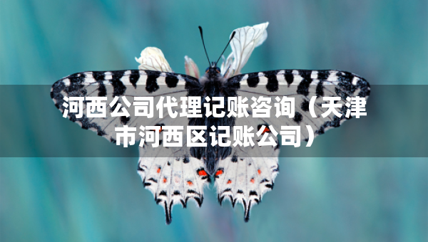 河西公司代理記賬咨詢（天津市河西區(qū)記賬公司）