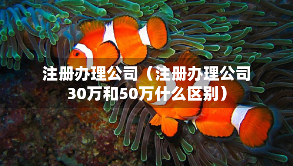 注冊(cè)辦理公司（注冊(cè)辦理公司30萬(wàn)和50萬(wàn)什么區(qū)別）