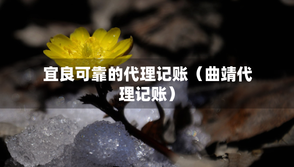 宜良可靠的代理記賬（曲靖代理記賬）