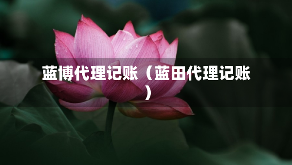 藍(lán)博代理記賬（藍(lán)田代理記賬）