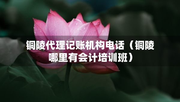 銅陵代理記賬機(jī)構(gòu)電話（銅陵哪里有會計培訓(xùn)班）